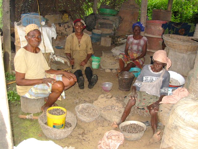 Villagers cracking palm kernels