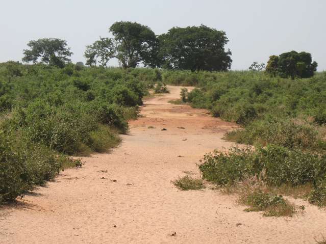 Road leading to the Confluence