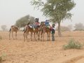 #7: The cameleers heading north to Niger, chatting with Chris