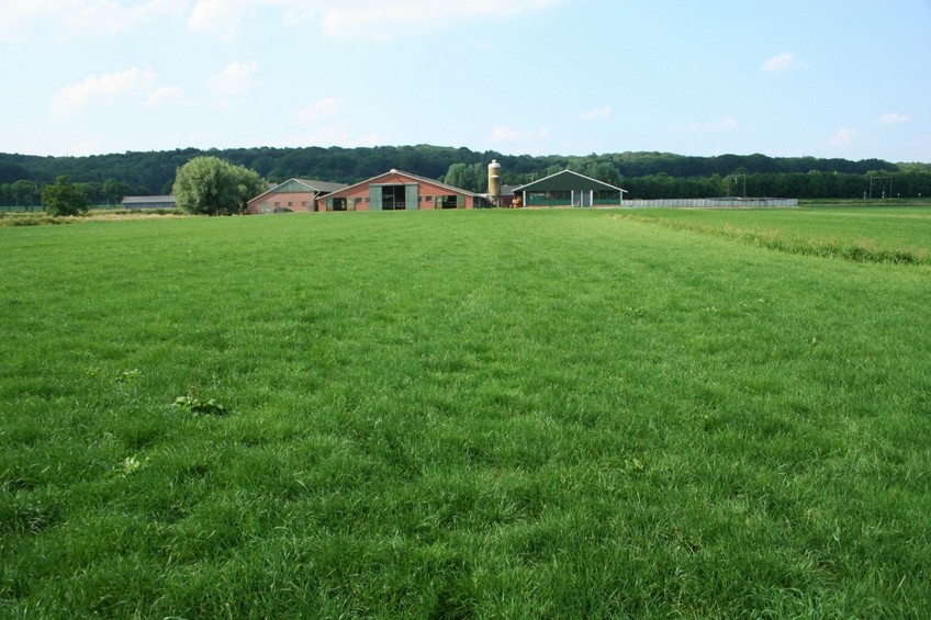 The point in the grass and view to the North, with the farm
