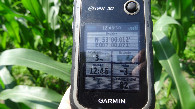 #6: #06 GPS reading, 82 m east from the CP 53N-07E
