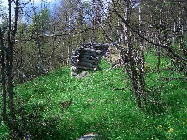 The remains of a log cabin