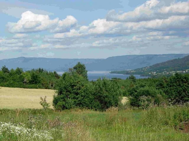 Lake between Oslo - Honefoss - Hokksund / See etwas westlich von Oslo