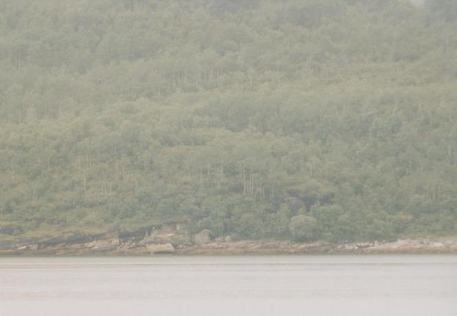 telephoto from the other side of Sørfjorden to N67/E14