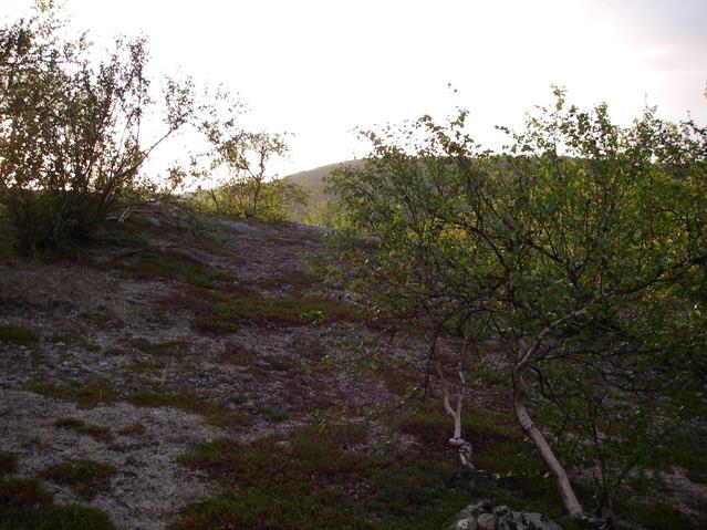 Looking north - the sun is concealed by the hill