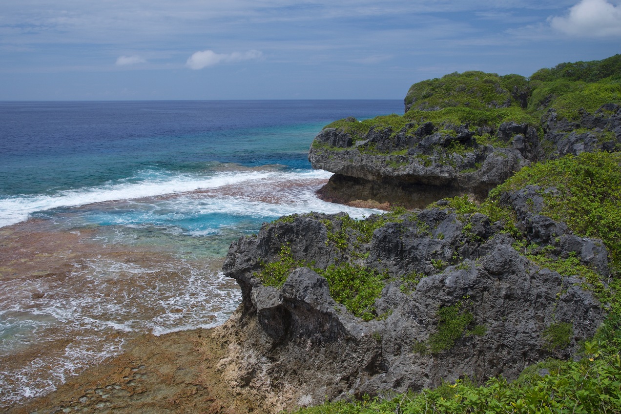 Another view of the coast of Niue, 8.86 km from the confluence point (which lies off the left-hand side of this photo)