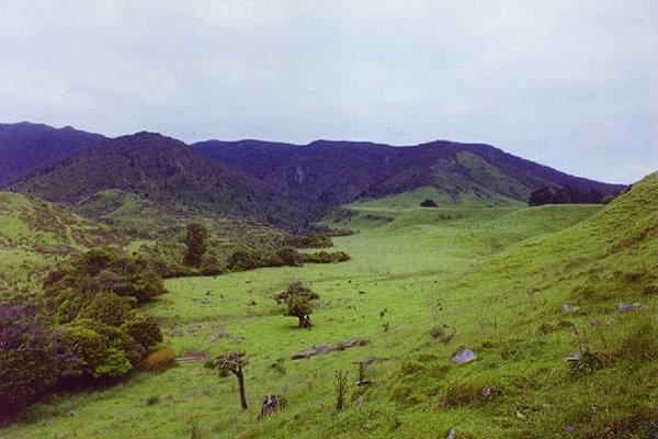 Looking east you can see the Ruahine Range, a 100km long Forest Park loved by hunters.