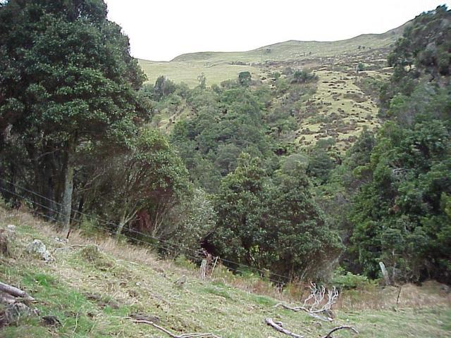 View to the north from the confluence site.