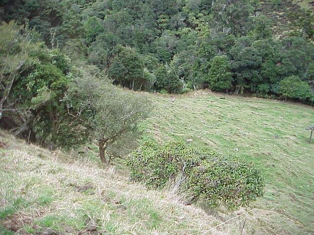 Confluence site from the terrace above.