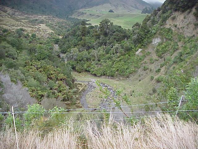 Horopito Stream and gully that we traversed en route to the confluence.