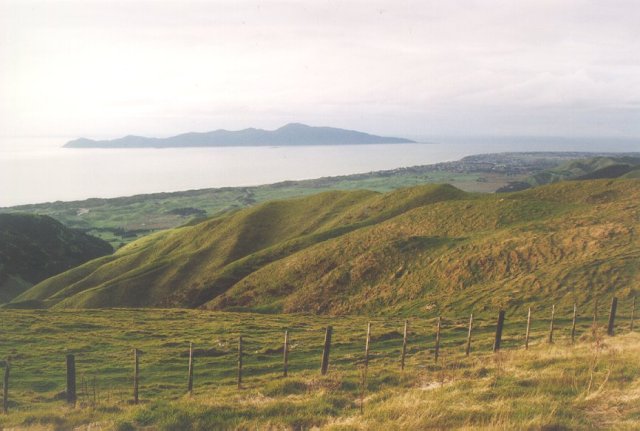 A view north, towards Kapiti Island, taken from the forest edge at few hundred metres directly north.