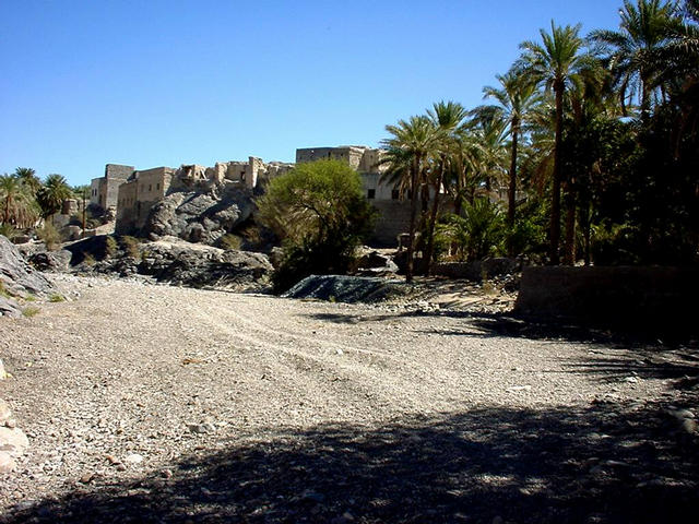 Wādiy Mahram, with old houses on a cliff and date palms.