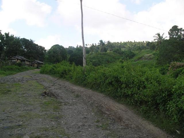 View to the North; dirt road/trail beyond the paved road to Barangay Baluno.