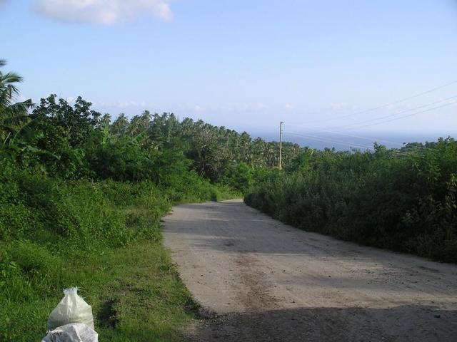 View to the South; end of the paved road looking towards the sea.