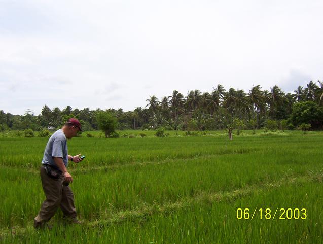 Balancing act on rice field dike to the last 50 meters of our target.