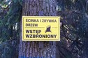 #9: Timber-cutting and logging - No entry 