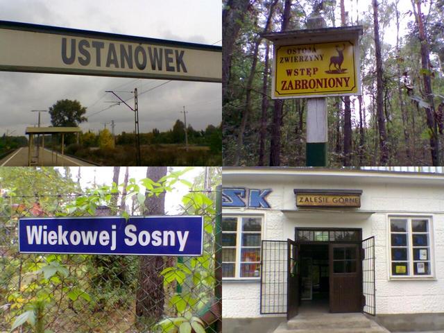 1: Ustanówek railway stop, 2: Game sanctuary 3: Ancient Pine (Wiekowej Sosny) street, 4: Zalesie Górne railway station