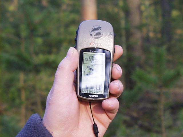 Despite the forest the GPS device still sees the satellites