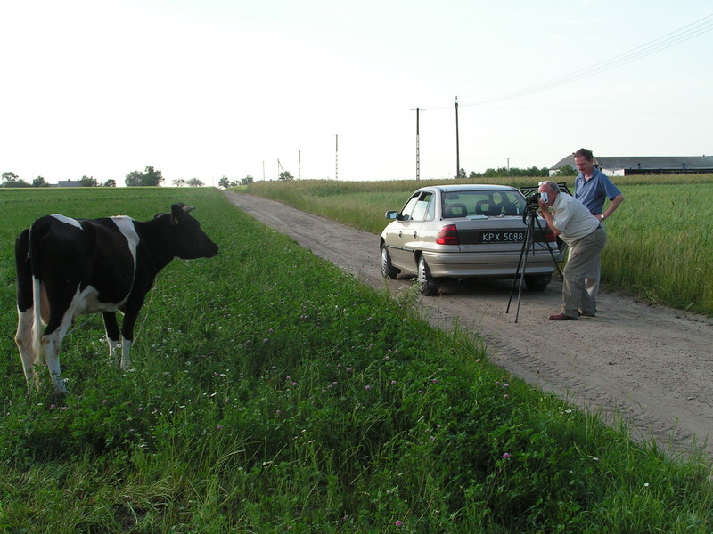 Pictures session of cow, route towards north - Sesja zdjęciowa z krową, droga widok w kierunku pn 