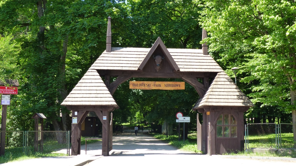 Białowieski Park Narodowy. Brama wejścia do parku w Białowieży / Bialowiezha National Park. Entrance gate to the park in Bialowiezha.