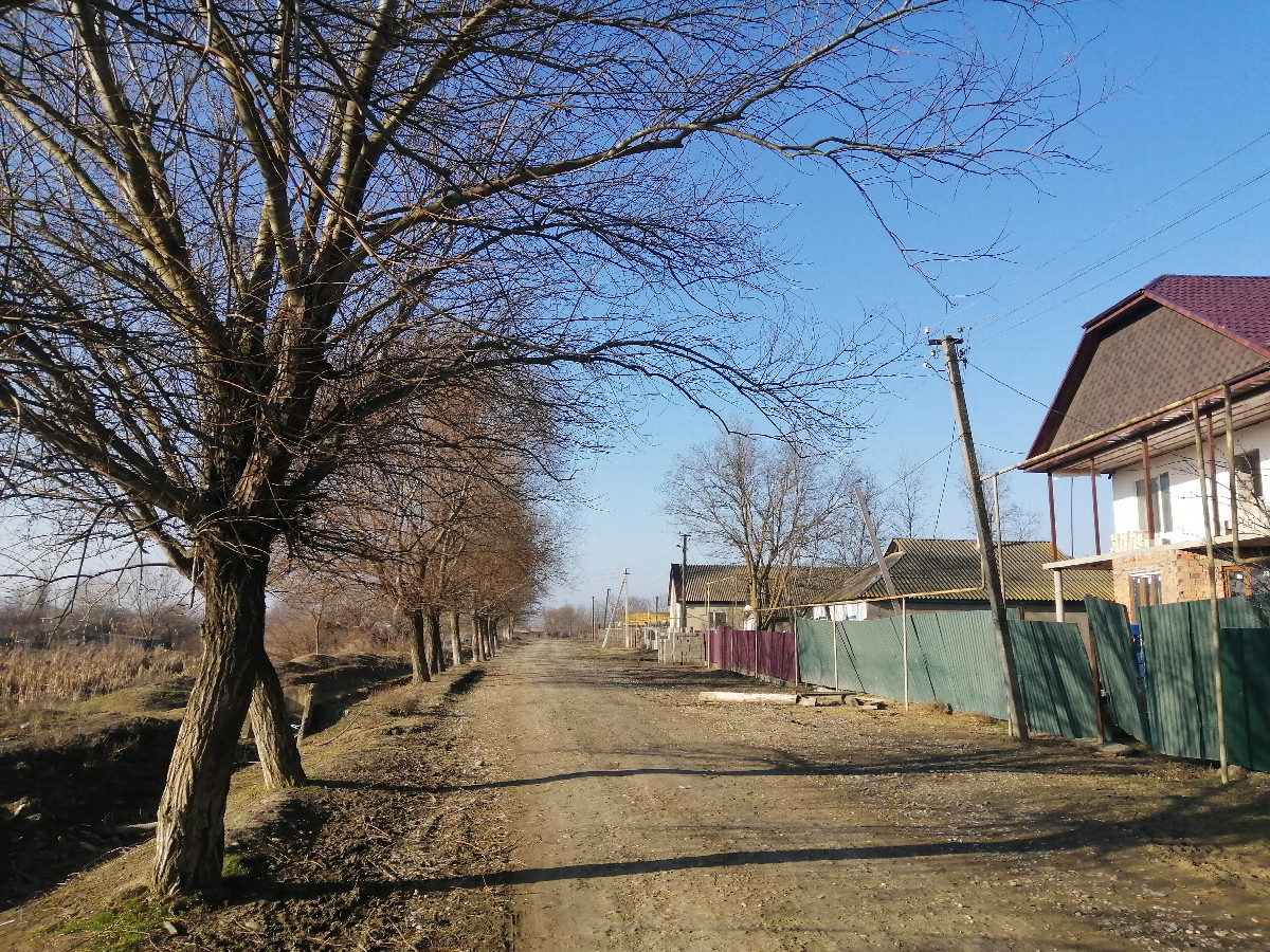 Novaya Serebryakovka village