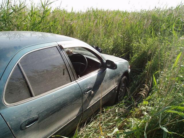 Driving the car in tall grass