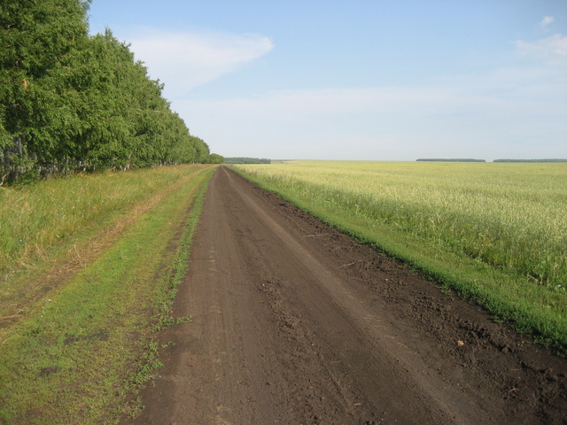 Field dirt road, 500m from the CP
