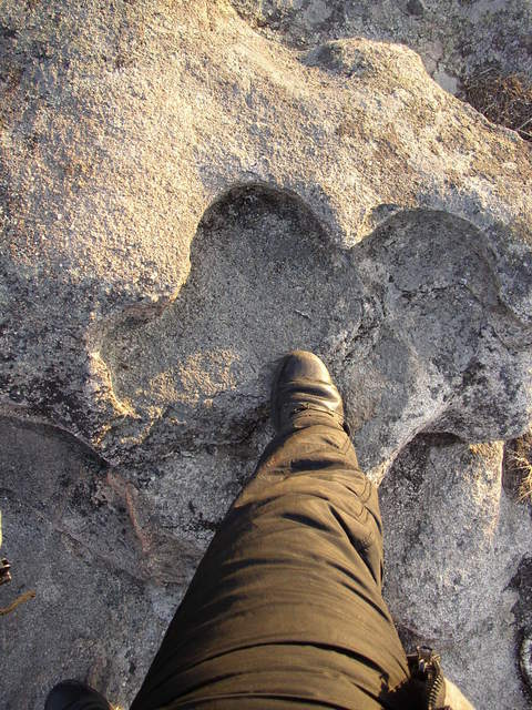 След динозавра. :-) Dinosaur's footprint