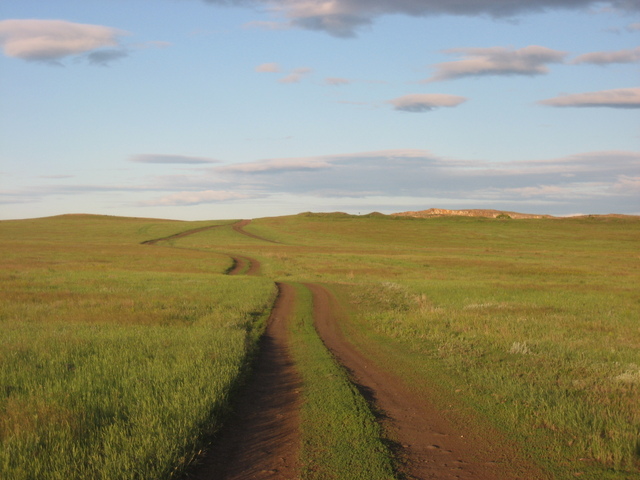 Steppe road; 500m from the point
