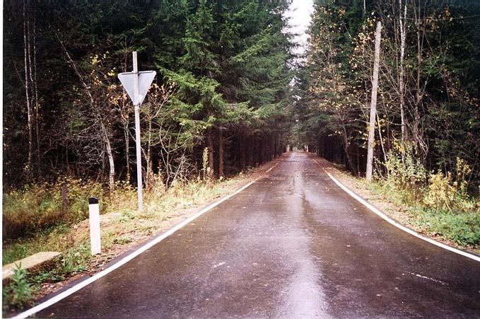 A peculiar forest road