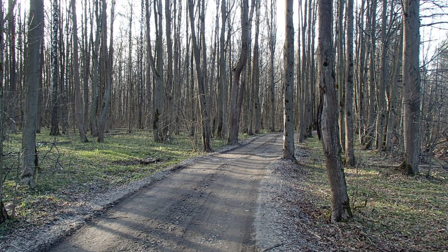 The road to "Solnyshko" / Дорога к "Солнышку"