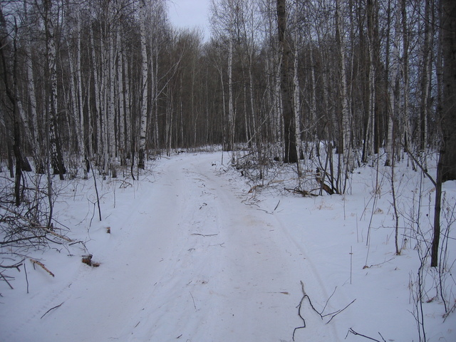 On our way to the next confluence. The road between two provinces, Kurganskaya & Sverdlovskaya oblast's. We decided not to return by major road (roundabout way) but to discover alternative shorter path