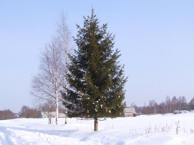 Christmas tree in Russian village
