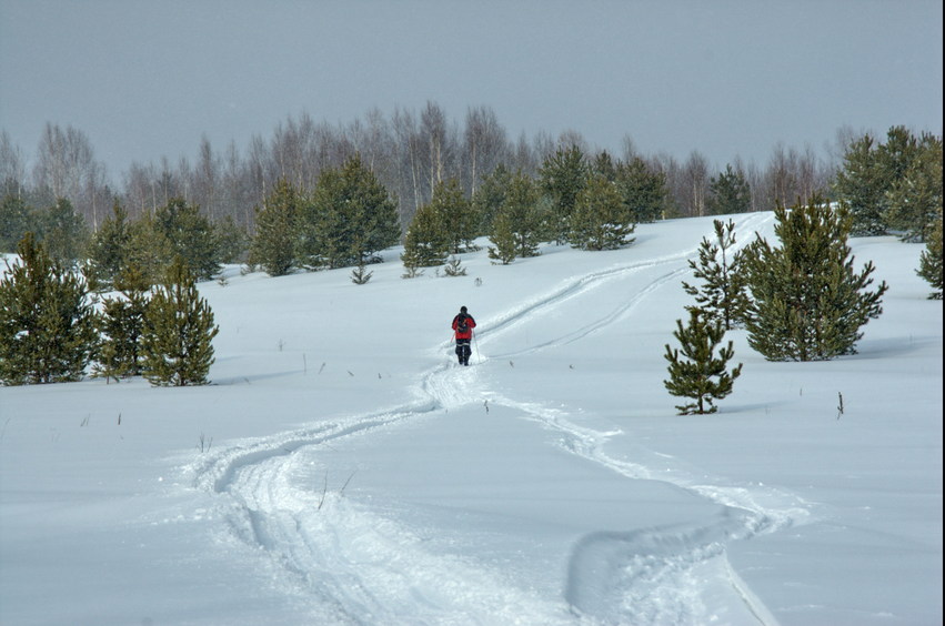 Назад, по снегоходному следу/Way back, onto snowmobil trace