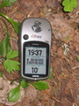 #2: GPS. All zeroes and a cheeky mosquito