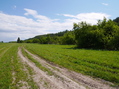 #9: The road towards confluence / Дорога на 58°N 93°E