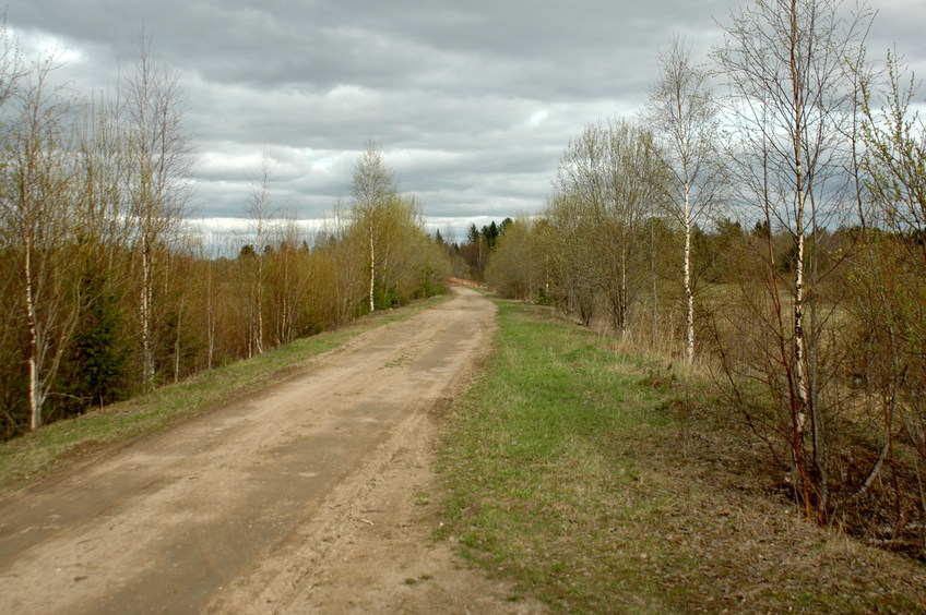 The road to Pegusha village/Дорога к деревне Пегуша