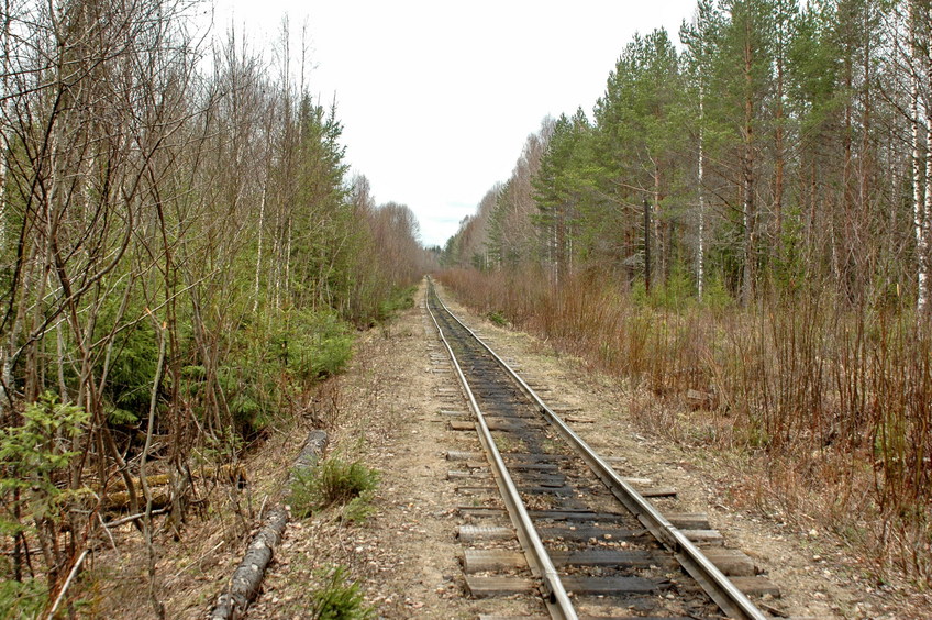Narrow-gauge railroad/Узкоколейка