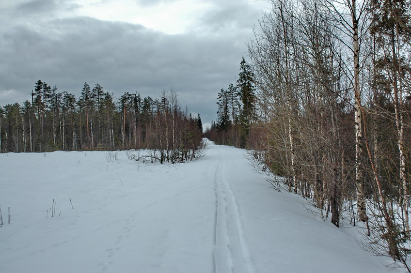 Hunter's skiing path/Охотничья лыжня