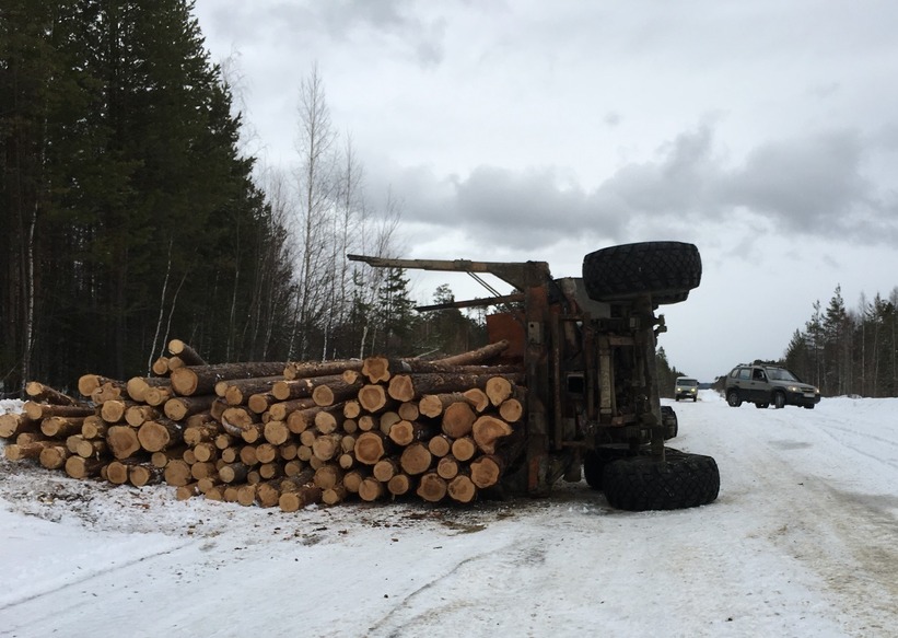 Fallen logging truck / Опрокинувшийся лесовоз