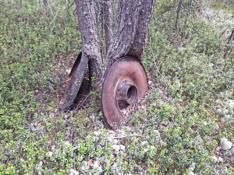 Вросшие в деревья колёса времён ГУЛАГа / Railroad wheels grown into the trees, GULAG time