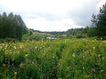 #7: Вид на речку Весляна / Veslyana river