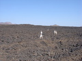 #7: An idea of the extent of the lava field to be crossed