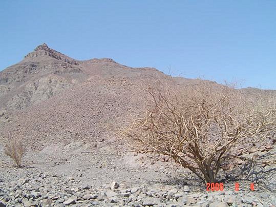 West view, where al-Jumayliyy mountain can be seen