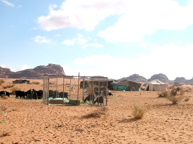 Small Bedouin camp