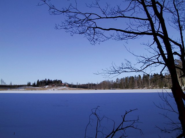 View over the now frozen lake just below fishing cabin