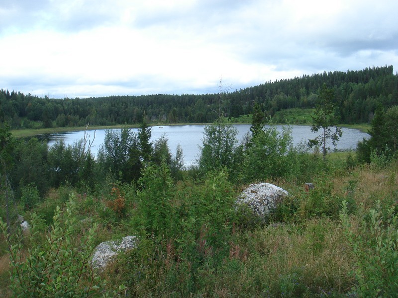 North view Lake Gardstjärnen / Nördliche Sicht