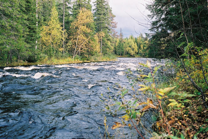Storbäcken downstream from the confluence