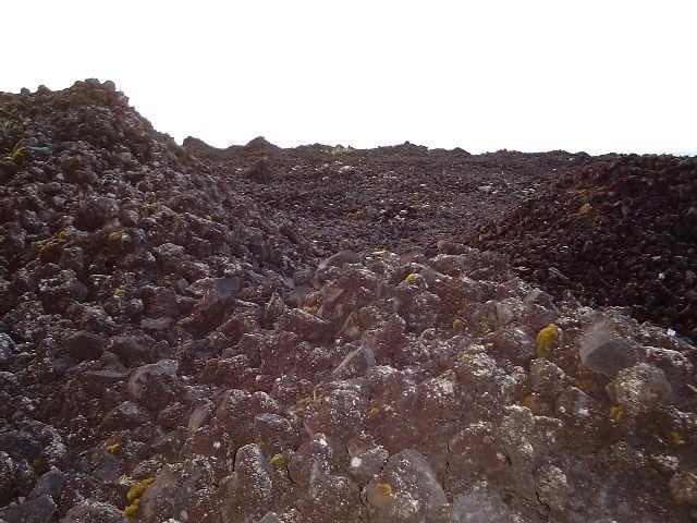 On the 1961 lava field