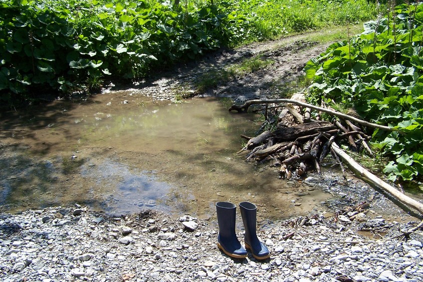 Ford and wellies